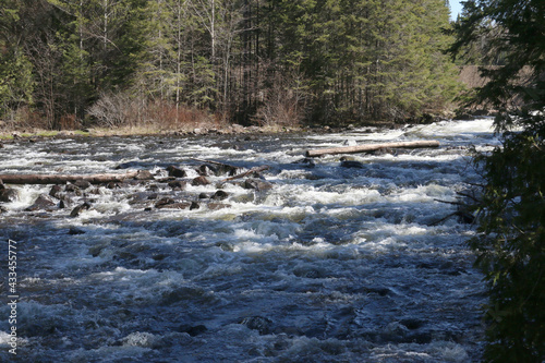 Algonquin Provincial park scenery in spring including rapids  beaver ponds and rocky trails