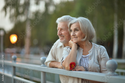 smiling senior couple posing   in  park