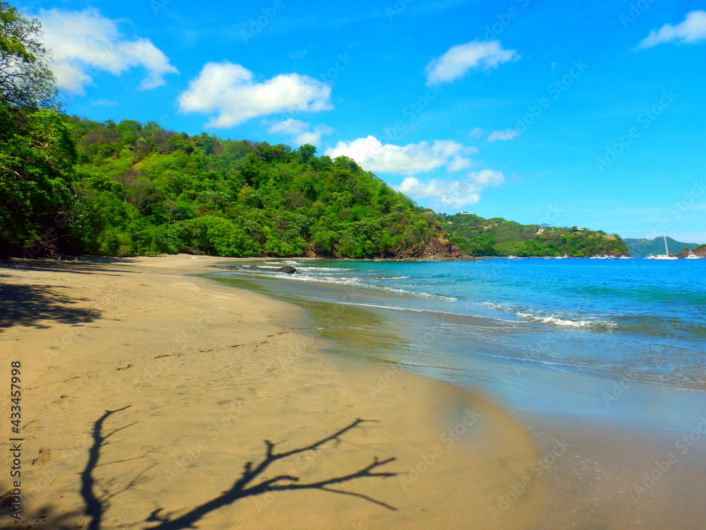 Costa Rica Pacific sea life