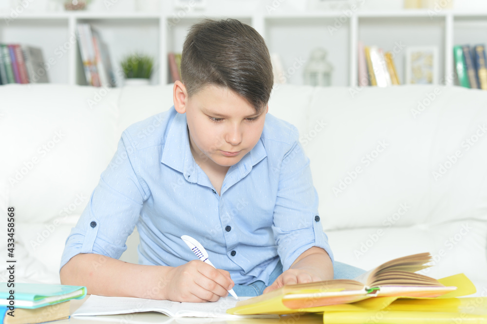 boy doing homework boy doing homework