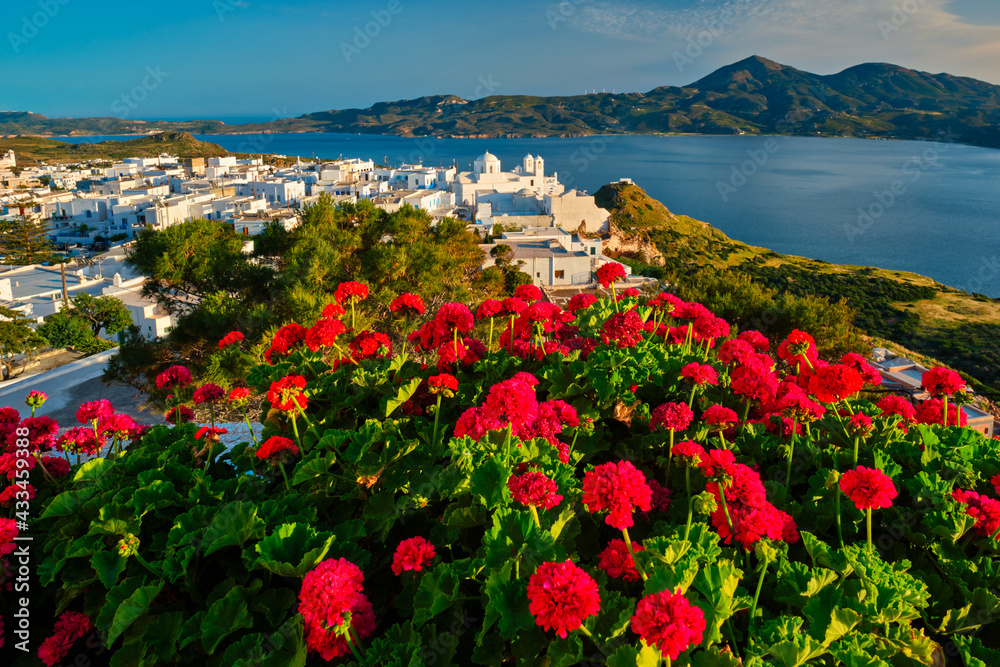 Red geranium flowers with Greek village Plaka on Milos island in Greece