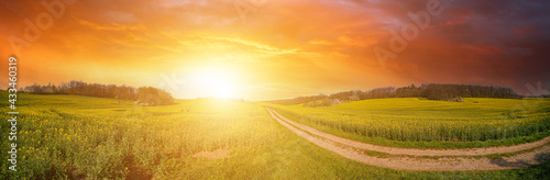 Panorama of green field with dirt road and sunset sky. Summer rural landscape sunrise