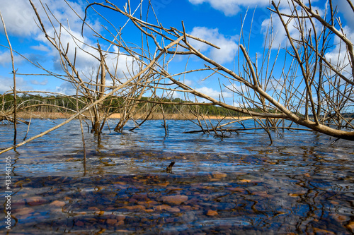 Logue Brook Dam, Lake Brockman photo