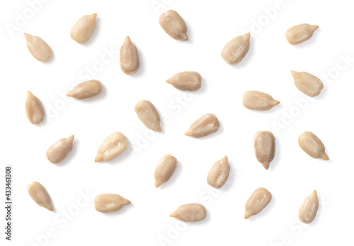 collection of single sunflower seed isolated on white background, top view