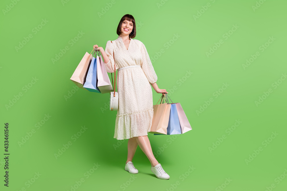 Full length body size photo woman wearing glamour outfit bag keeping bags shopping mall isolated pastel green color background