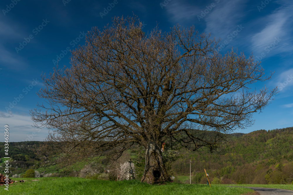 Meadows over Horni Lhota village in spring sunny fresh morning Meadows over Horni Lhota village in spring sunny fresh morning