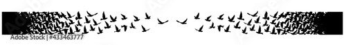 Flying birds silhouettes on white background. Vector illustration. isolated bird flying. tattoo design.