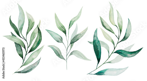 Watercolor botanical leaves illustration