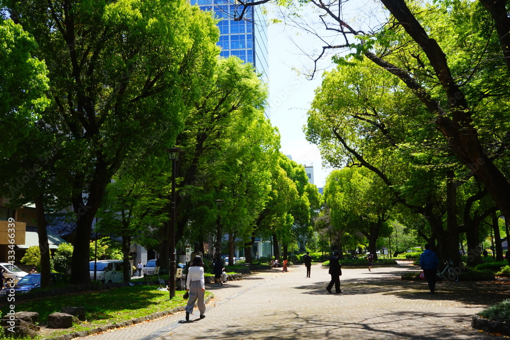 Fototapeta premium Shiba park in Tokyo, Japan - 日本 東京 芝公園