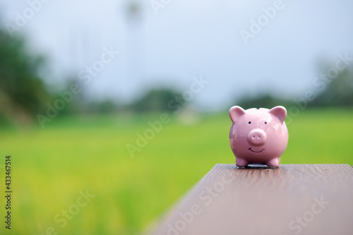 Pig Piggy Bank and Growth Investment Ideas 