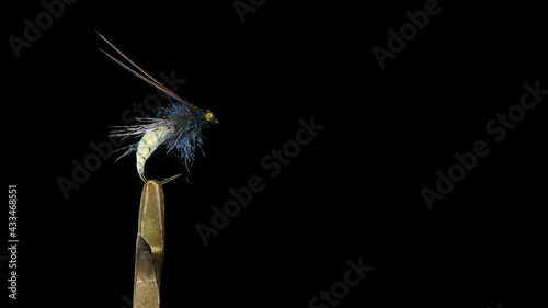 Fishing fly on a dark background.