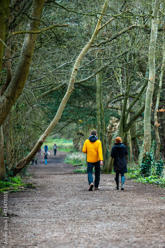 Footpath in woodland, Bristol UK