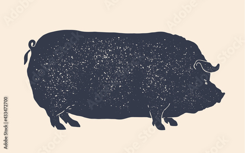 Pork, pig. Vintage retro print, black white pig drawing, grunge old school style. Isolated black silhouette pig on white background. Side view profile. Vector Illustration