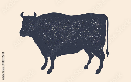 Cow or bull silhouette. Black and white isolated cow or bull silhouette. Vintage retro print for meat business, meat shop, restaurant menu. Logo, sign cow or bull for butchery. Vector Illustration
