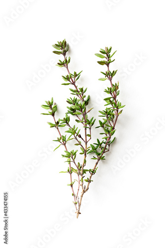 Fresh thyme on white background