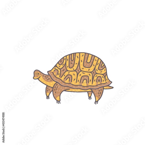 Cute turtle animal. Cartoon colorful character illustration.