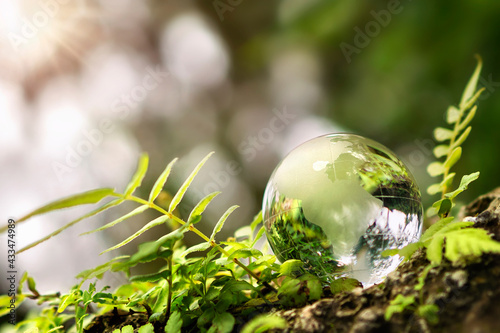 crystal globe glass resting on moss stone with sunshine in nature forset. eco  environment concept