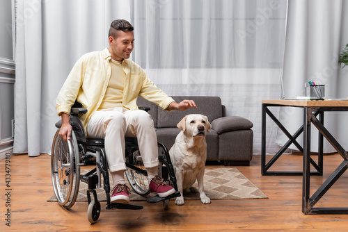 young disabled man sitting in wheelchair near labrador dog at home © LIGHTFIELD STUDIOS