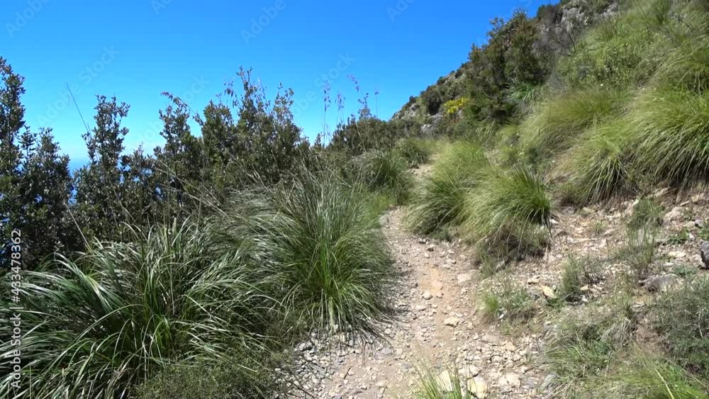Forest path in the mountains. Path of the god called Sentiero Degli Dei at Amalfi Coast. Italy
