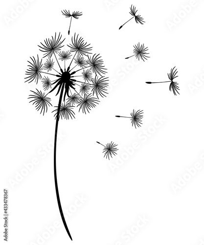 Dandelion with flying seeds. Black silhouette of a flower on a white background. Monochrome vector drawing. Beautiful dandelion design. Abstract floral illustration.