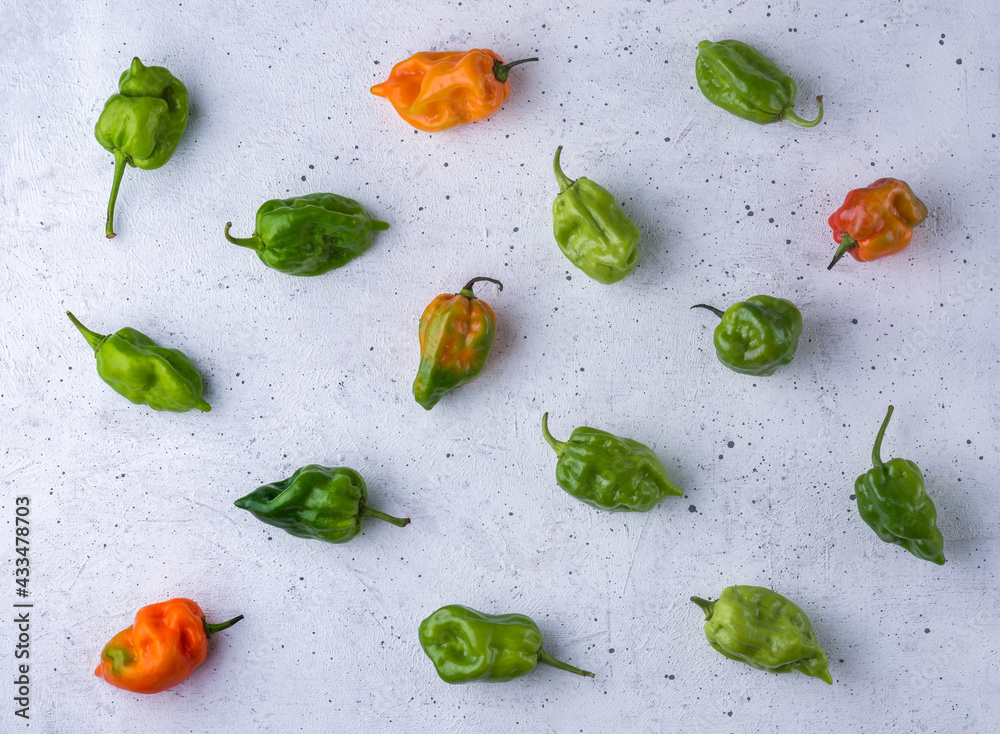 habanero chili peppers, ripe and unripe hot variety of capsicum