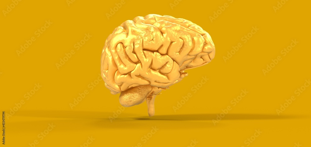 Creative background, the human brain on a blue background, the hemisphere is responsible for logic, and responsible for creativity. of different Creative background, the human brain on a blue background, the hemisphere is responsible for logic, and responsible for creativity. of different