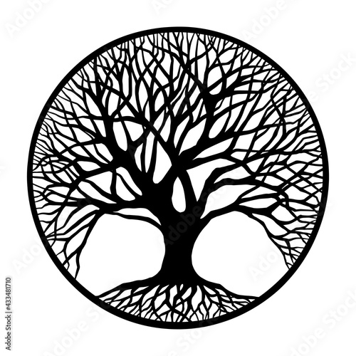 Outline Tree Of Life