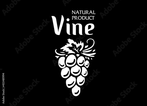 Vector logo drawn by hand. Bunch of grapes for making wine