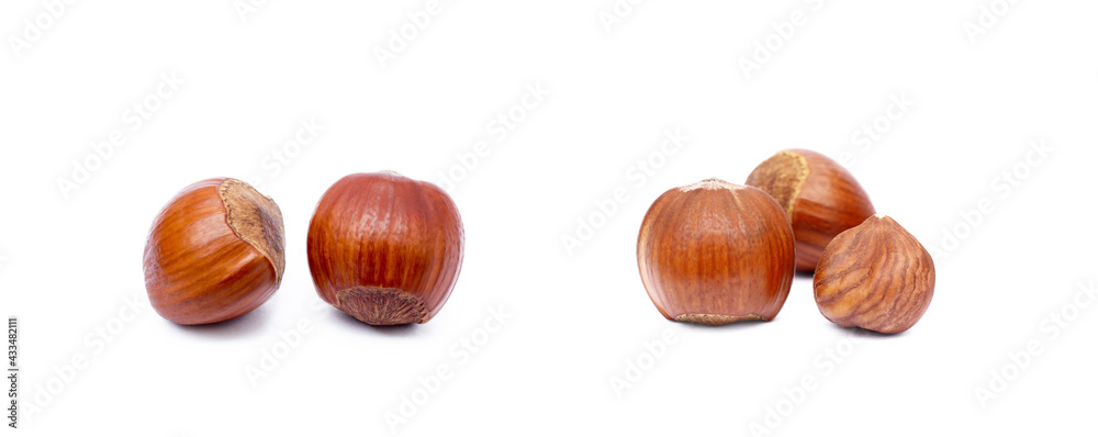 Group fresh hazelnuts isolated on white background Group fresh hazelnuts isolated on white background