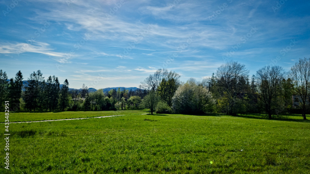 Fototapeta premium Widok na park miejski. Ustroń, Polska