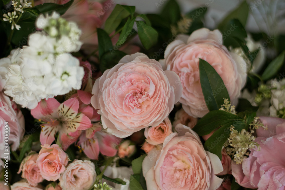 Fototapeta premium Close up of pink peony in fresh flowers arrangements.