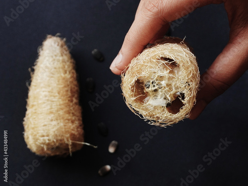 Sponge gourd or Luffa cylindrica or Egyptian cucumber, seeds out of the fibrous sponge on black background. 