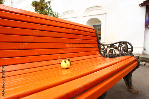 wooden bench in the park