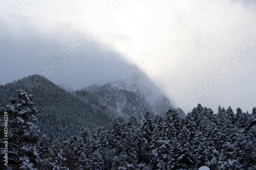 snow covered mountains