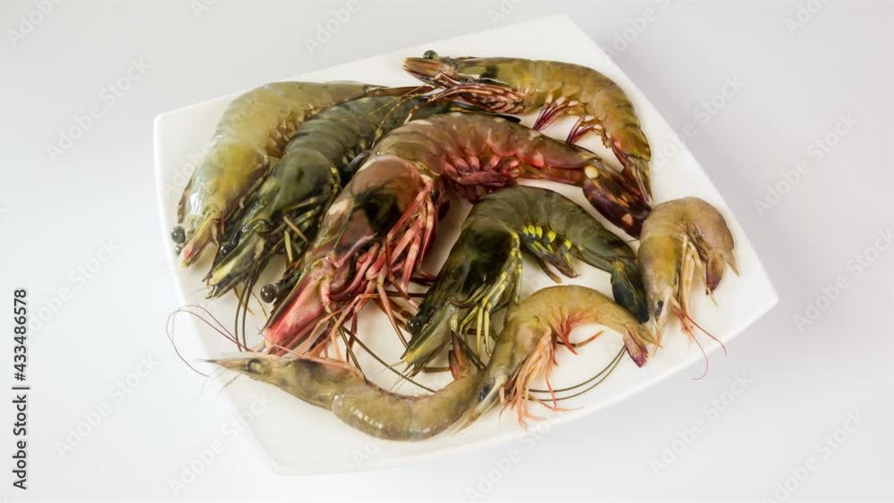 Fresh raw tiger prawns close up rotation on the white plate, white background 4K Fresh raw tiger prawns close up rotation on the white plate, white background 4K