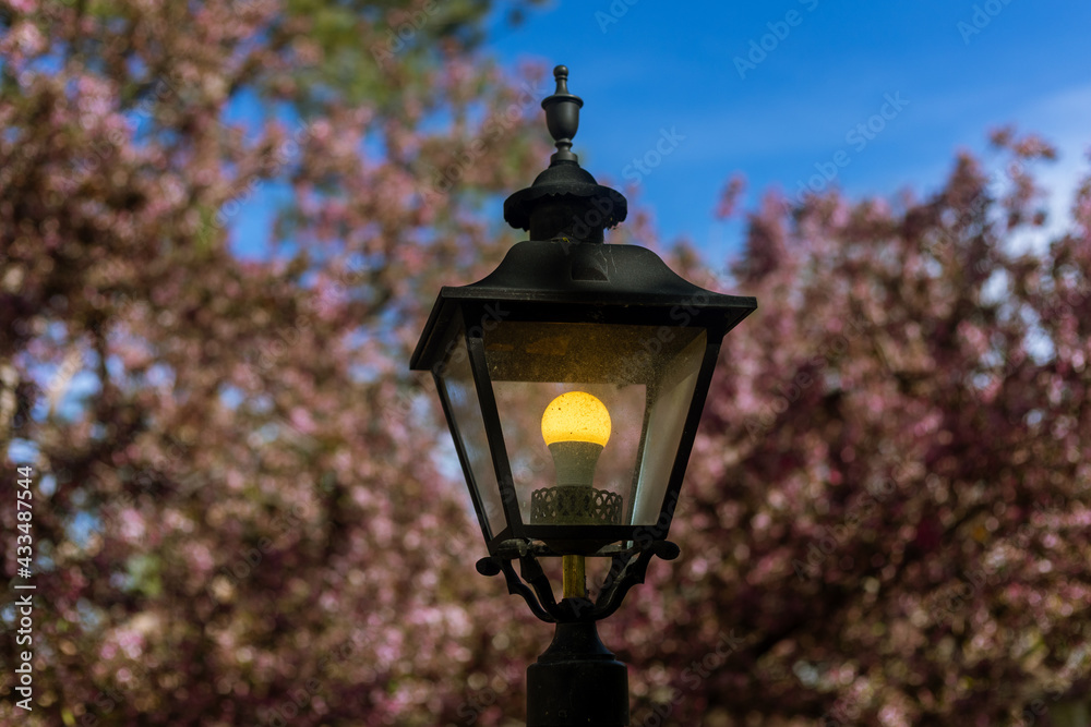 Street light in front of cherry blossoms