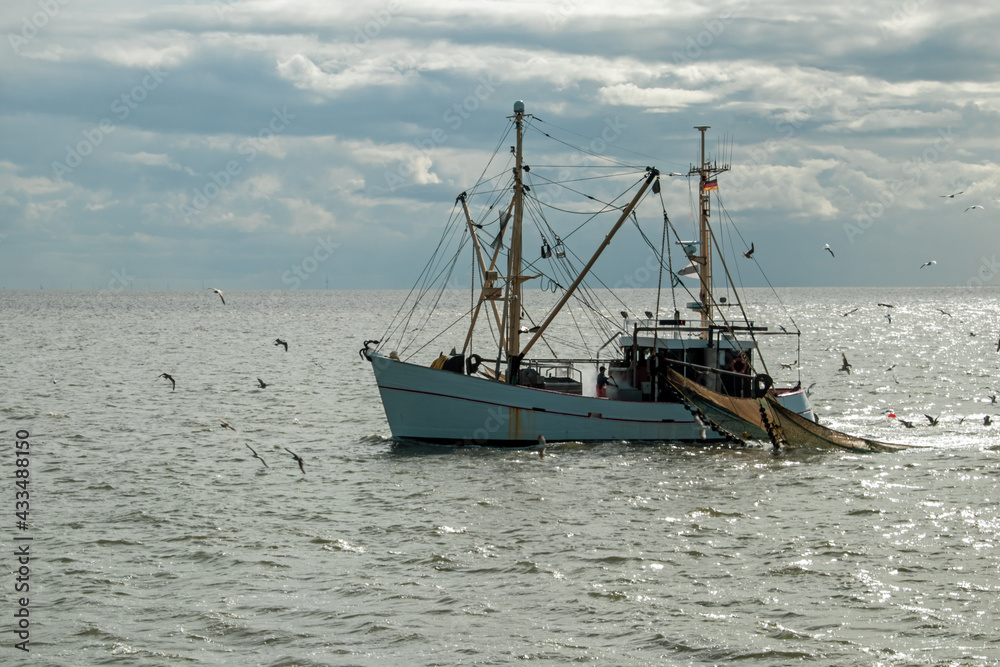 Fischkutter Fischkutter