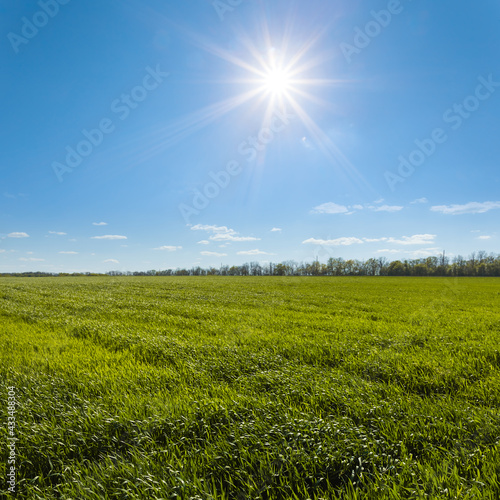 green rural field under a sparkle sun, spring countryside industrial scene