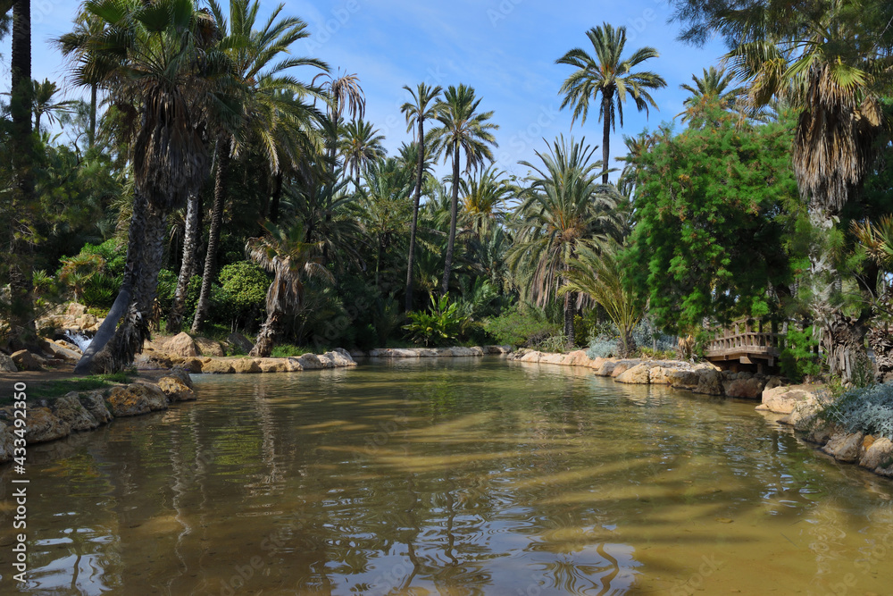 A haven of tranquility in the park.