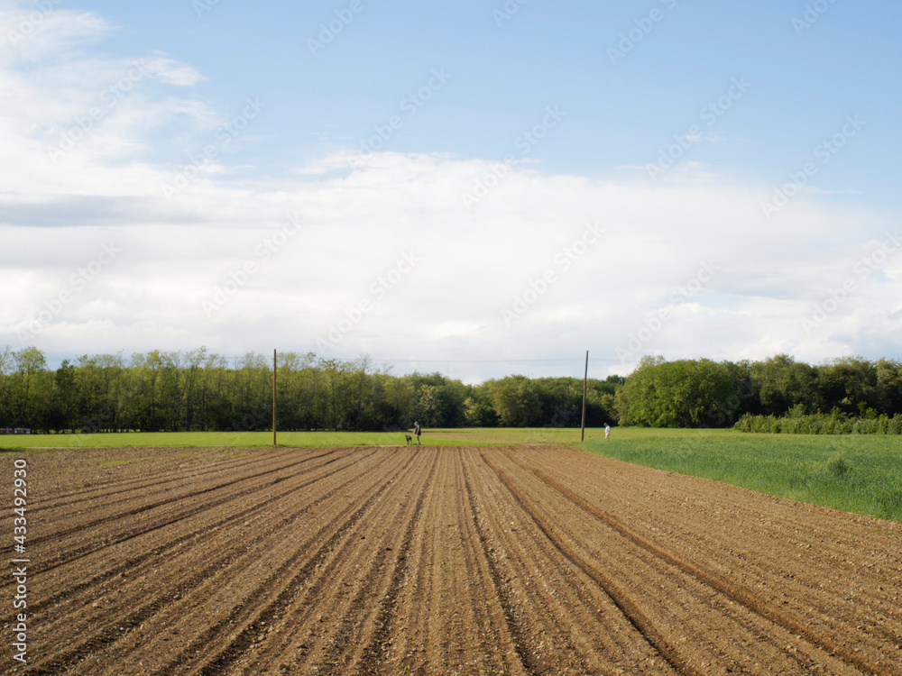 Sky with clouds and field Sky with clouds and field