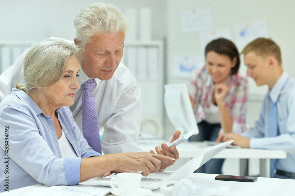 successful senior businesspeople working together successful senior businesspeople working together