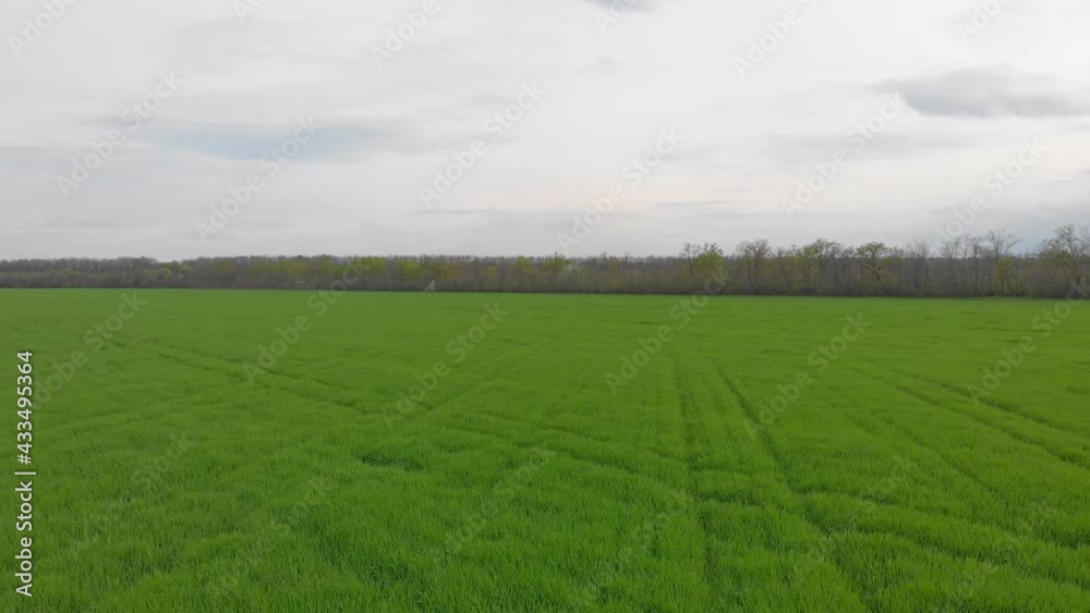 Flying over the green field aerial drone view push out backward camera movement