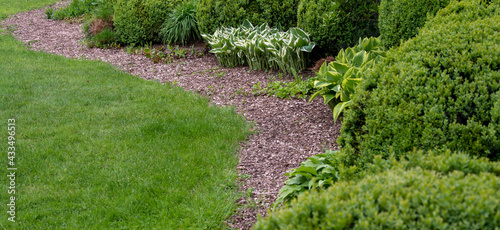 Gartenrasen mit Genulchtem Beet und verschiedenen grünen Pflanzen - Konzept Gartengestaltung photo