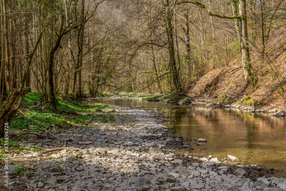 River Kupfer at spring time River Kupfer at spring time
