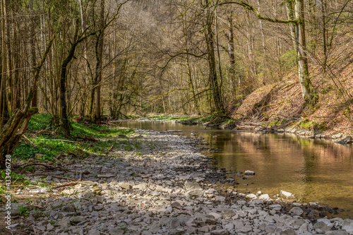 Canvas Print River Kupfer at spring time