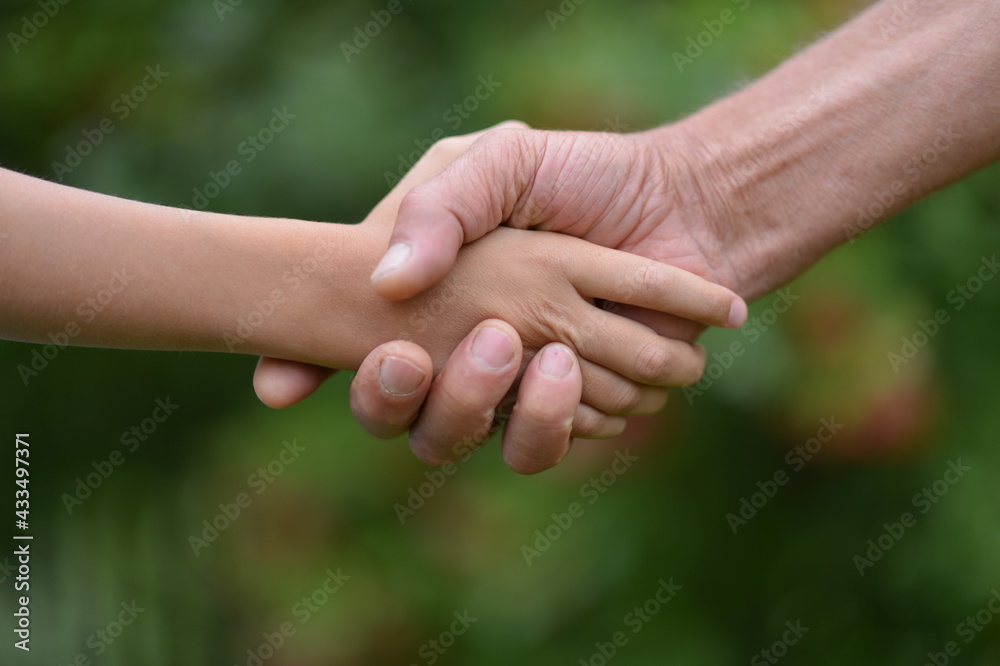 granddaughter and grandfather holding hands granddaughter and grandfather holding hands