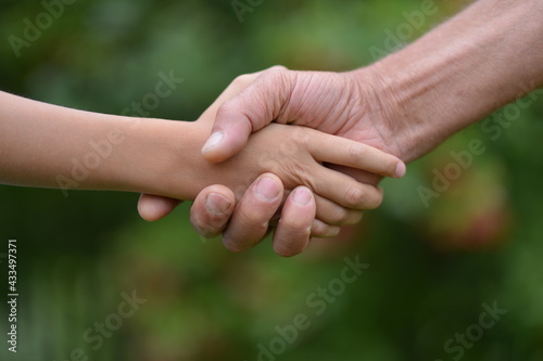 granddaughter and grandfather  holding hands © aletia2011