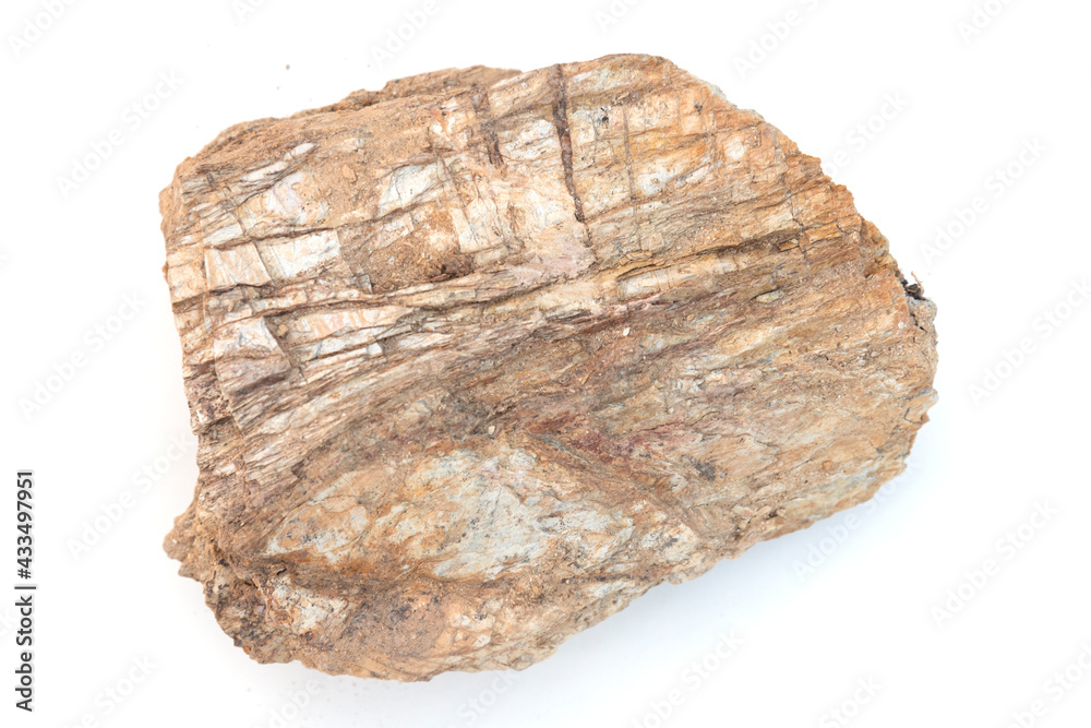 brown stone on white background or stone texture brown stone on white background or stone texture