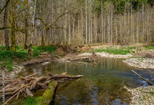 River Kupfer at spring time