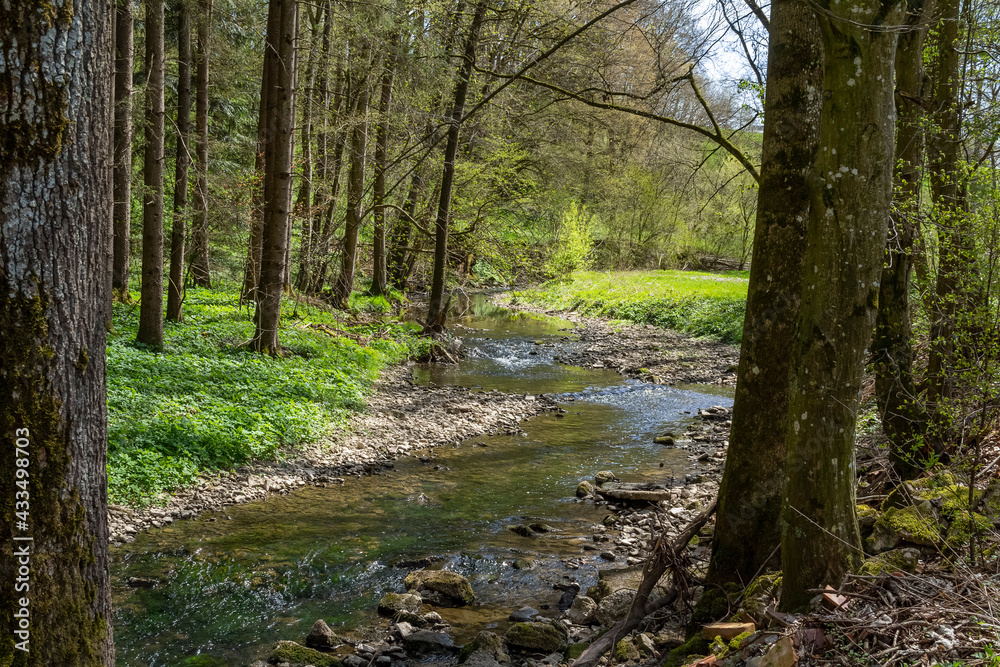 River Kupfer at spring time River Kupfer at spring time